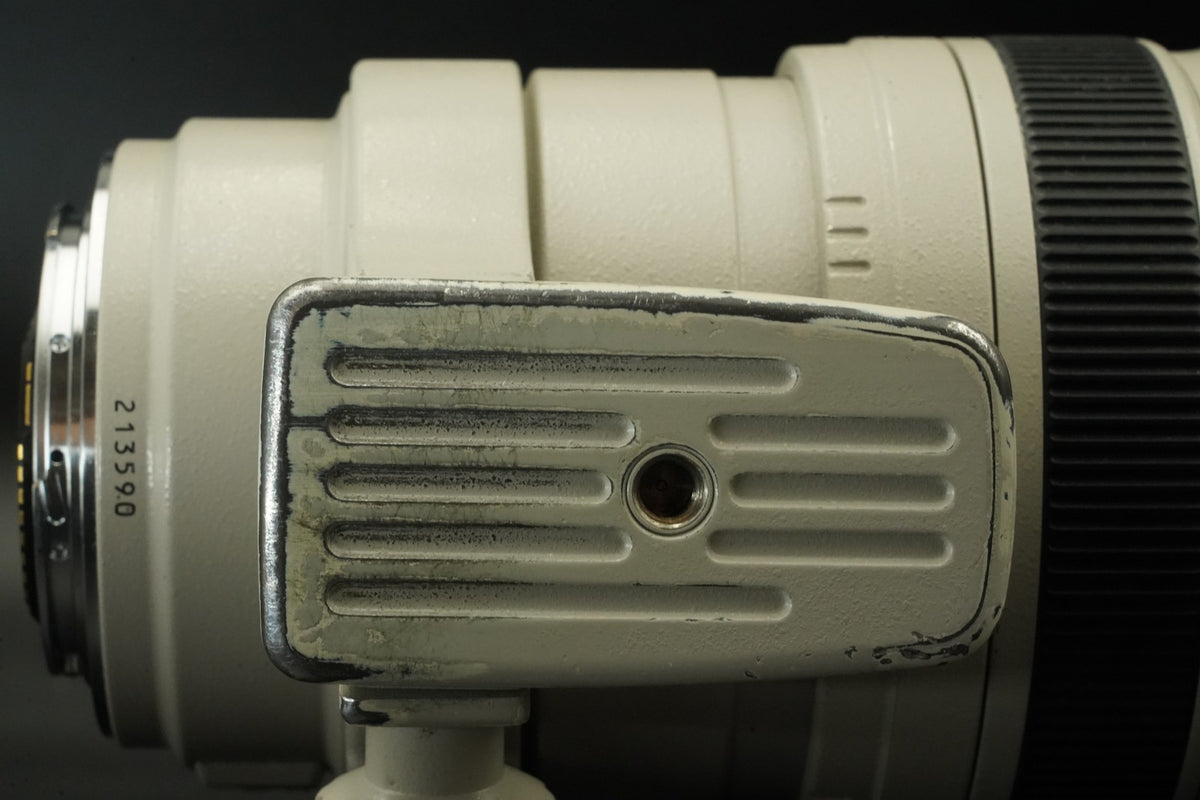 Canon EF 100-400mm f/4.5-5.6 L IS USM AF Zoom Lens #11806