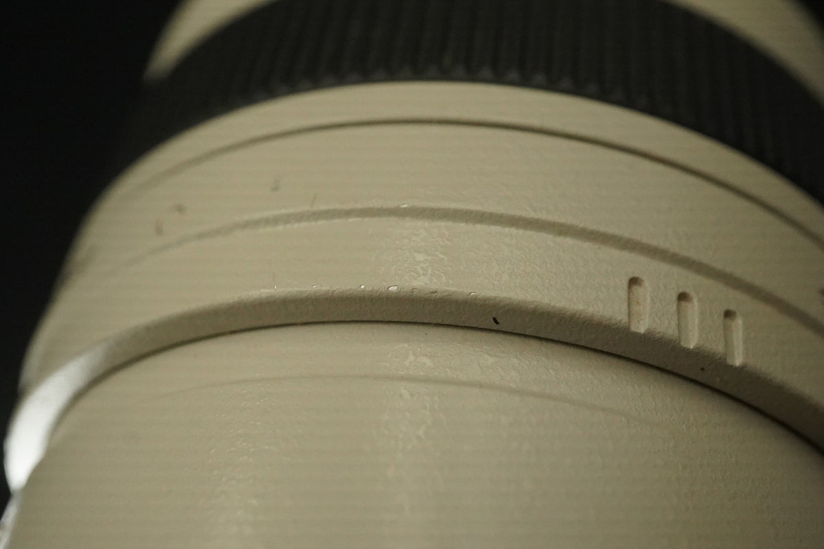 Canon EF 100-400mm f/4.5-5.6 L IS USM AF Zoom Lens US STOCK #12030