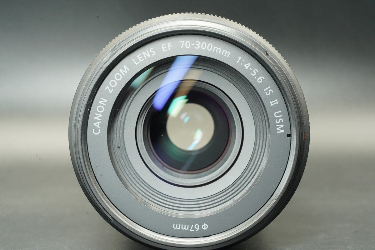 Canon EF 70-300mm f/4-5.6 IS II USM Zoom Lens #12490