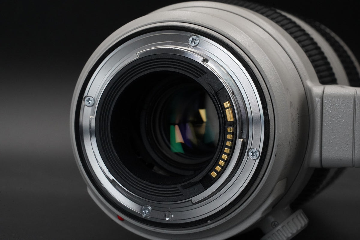 Canon EF 100-400mm f/4.5-5.6 L IS II USM AF Zoom Lens US STOCK #10939