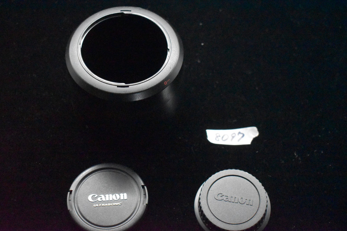[US Duty Paid] Canon EF 70-300mm f/4-5.6 L IS USM From JAPAN #8097