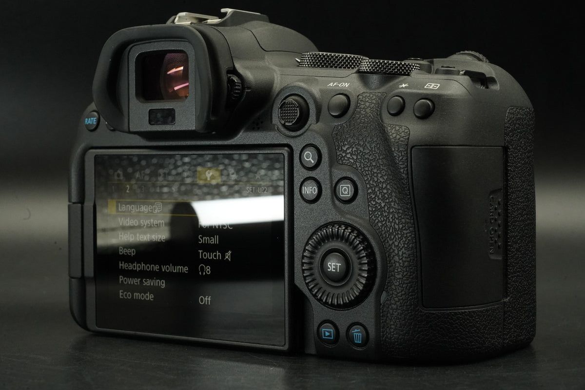 Canon EOS R6 20.1MP Mirrorless Camera -15% cuts- #12379