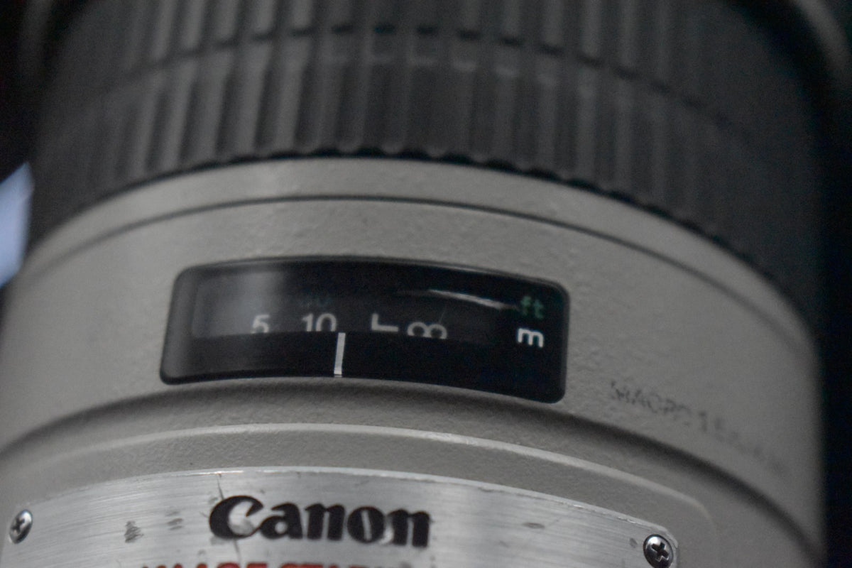 [US Duty Paid] Canon EF 300mm f/4 L IS USM ULTRASONIC Lens From US🇺🇸 9104