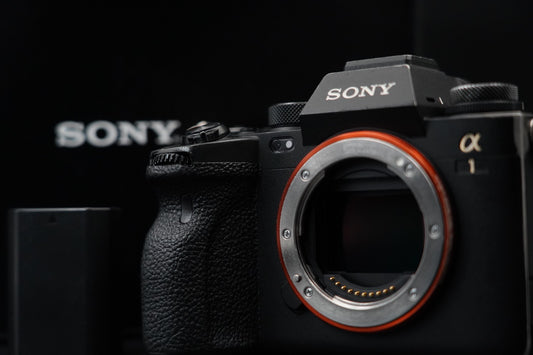 SONY a1 ILCE-1 Mirrorless Digital Camera [English OK] -424 cuts- #10792