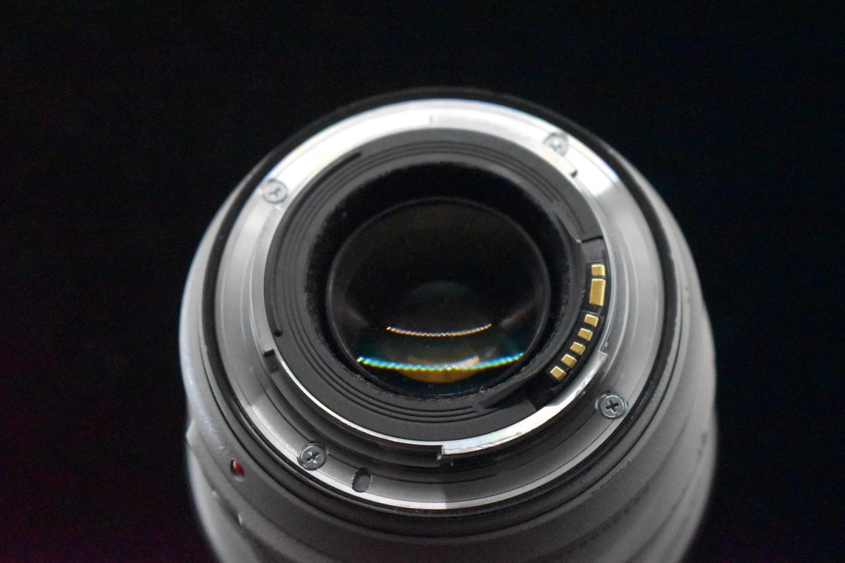 [US Duty Paid] Canon EF 70-300mm f/4-5.6 L IS USM From JAPAN #8097