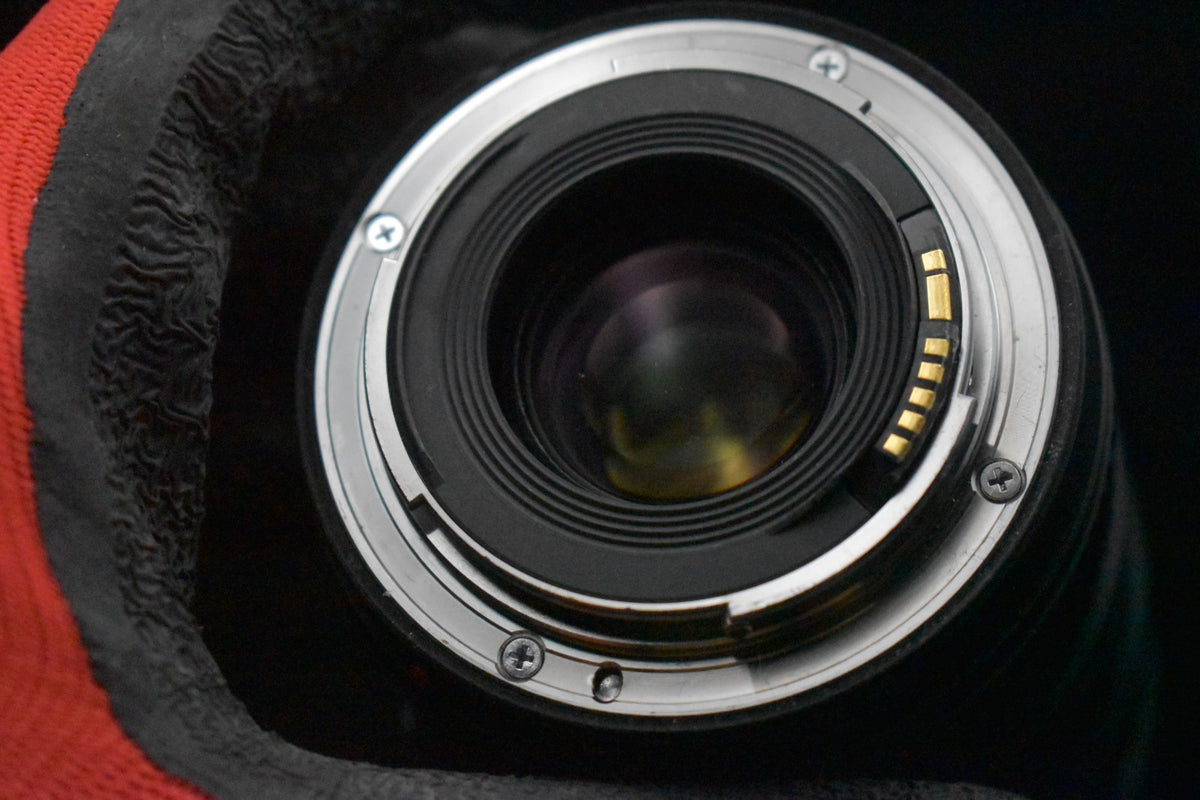 [US Duty Paid] Canon EF 16-35 mm f/4 L IS USM obiettivo grandangolare AF...
