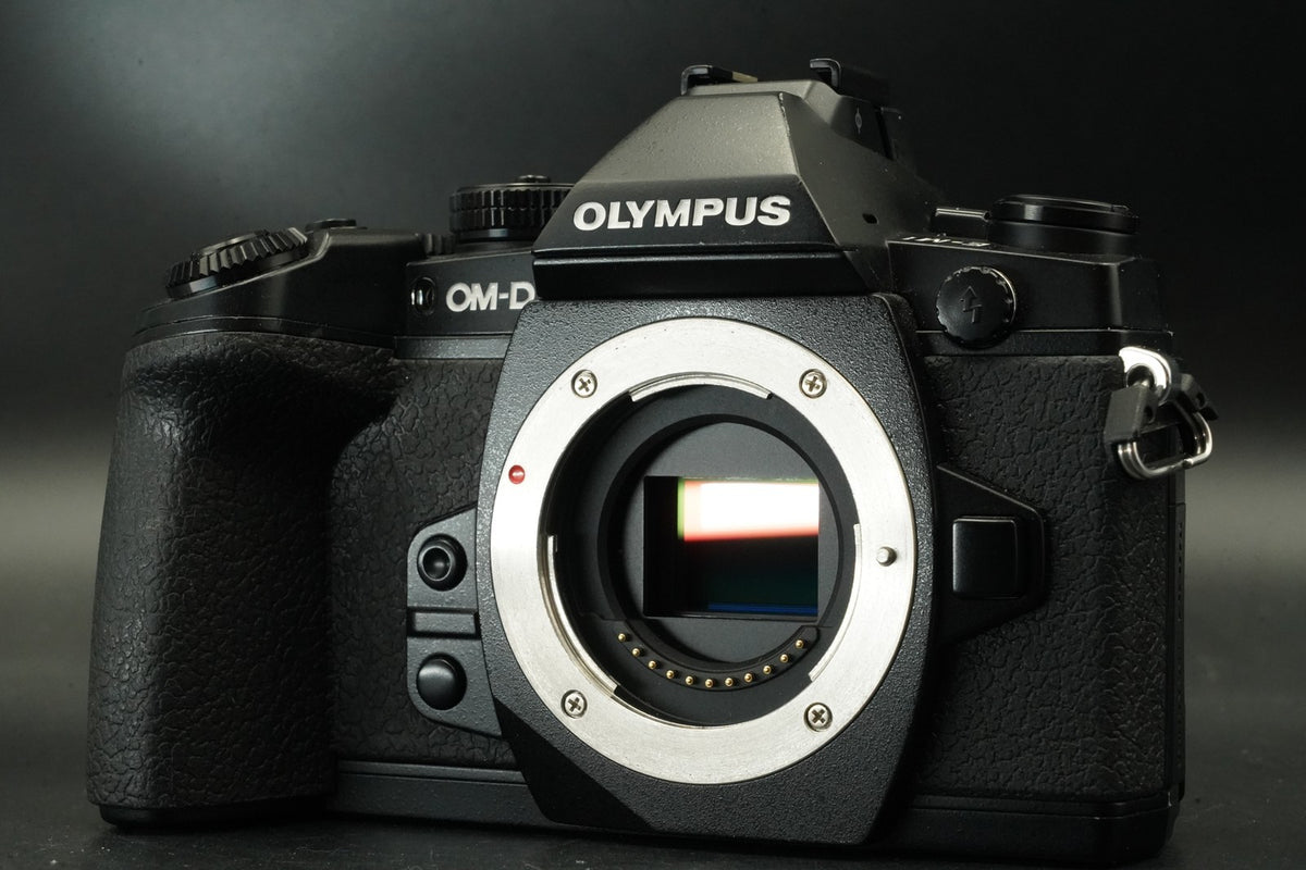 Olympus OM-D E-M1 Mirrorless Digital Camera Black Body #11911