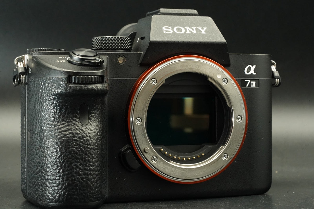 Sony Alpha a7 III ILCE-7M3 Digital Camera -15428 cuts- #12006