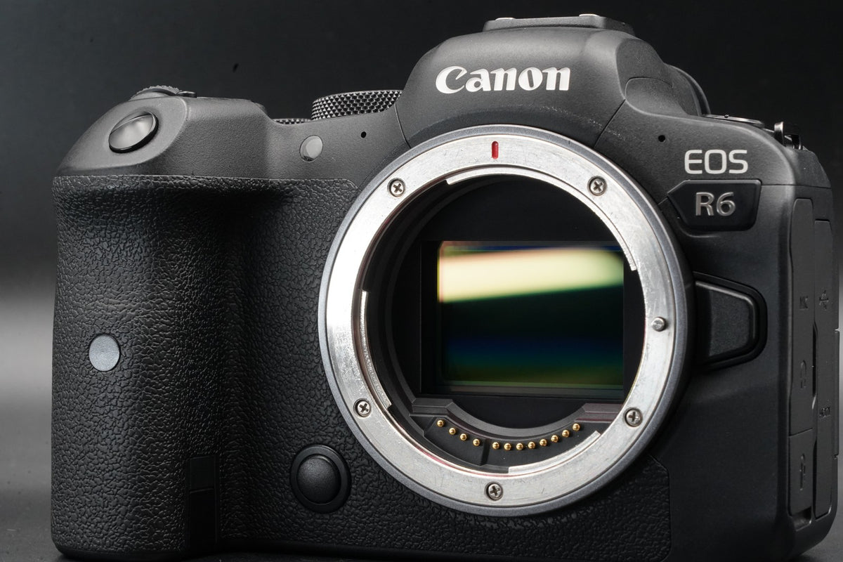 Canon EOS R6 20.1MP Mirrorless Camera -1200 cuts- #11354