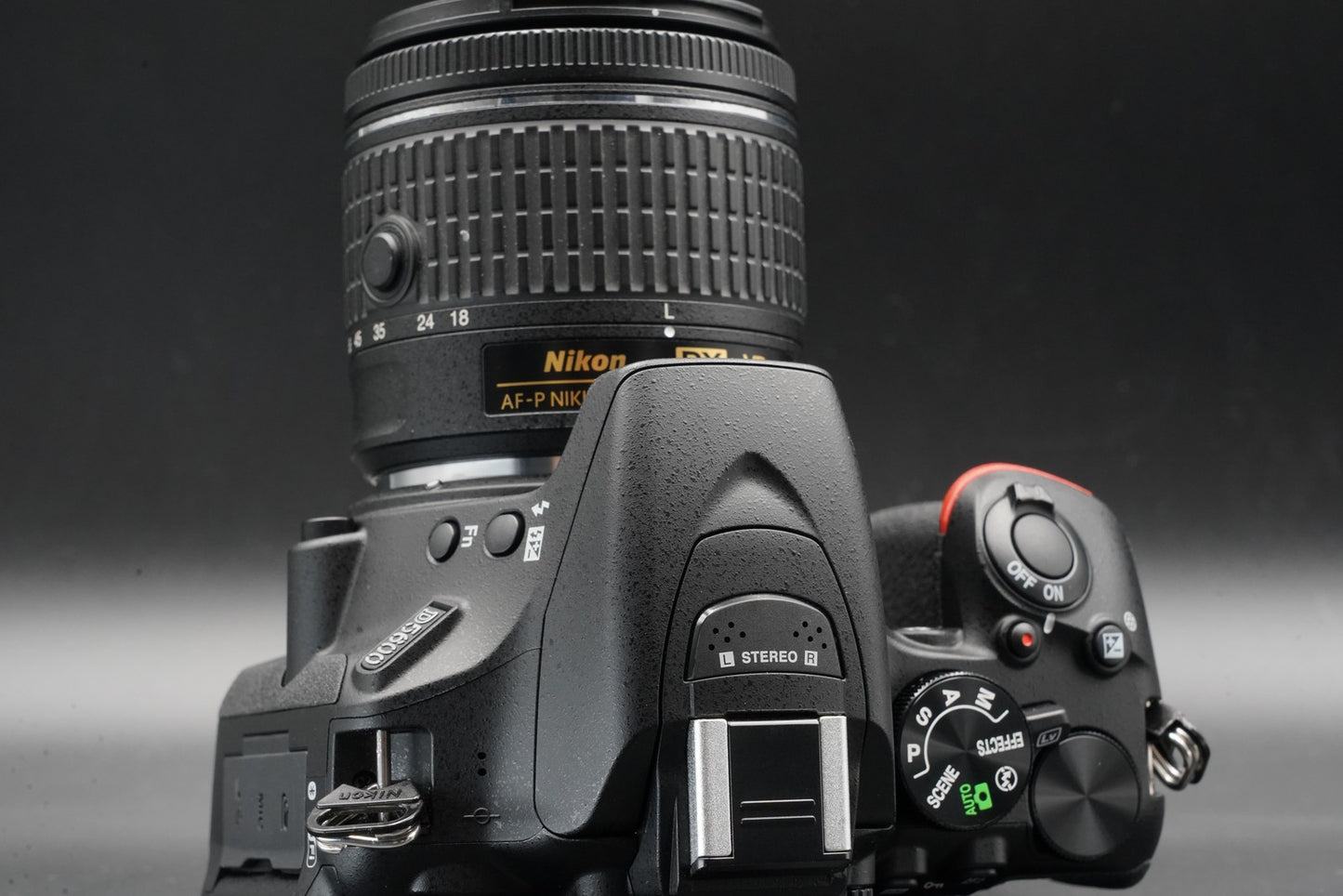 3604 cuts!! Nikon D5600 DSLR Digital Camera with 2 Lenses 11117