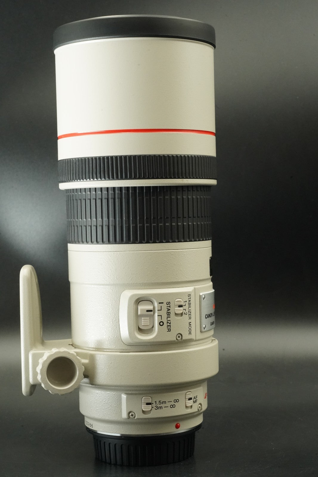 Canon EF 300mm f/4 L IS USM ULTRASONIC Lens #11904