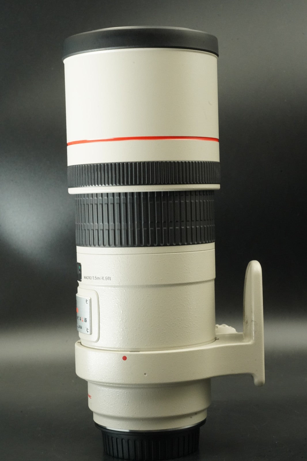 Canon EF 300mm f/4 L IS USM ULTRASONIC Lens #11904