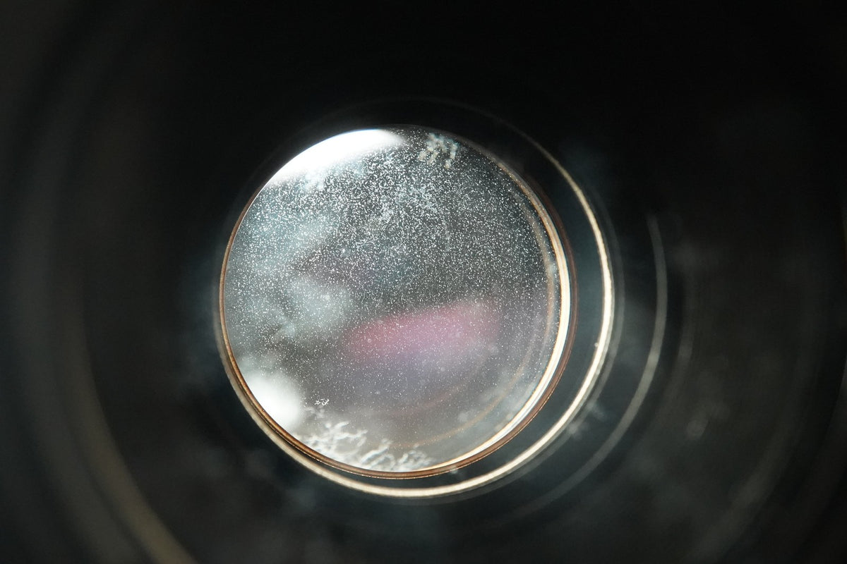 Canon EF 100mm f/2.8 Macro Portrait Prime AF Lens #12305