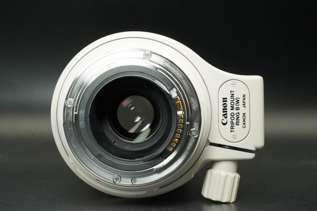 Canon EF 100-400mm f/4.5-5.6 L IS USM AF Zoom Lens #12159
