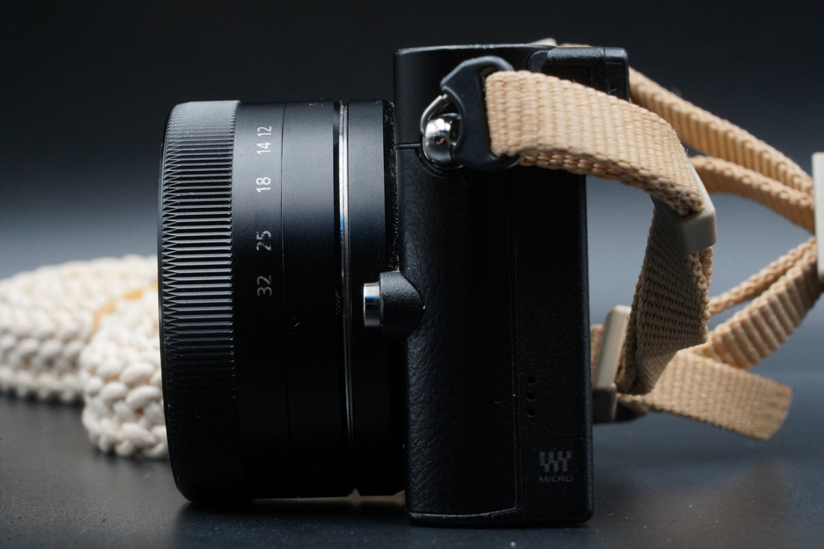 Panasonic LUMIX DMC-GM5 16MP Black w/ Lens English OK ! US STOCK #10398