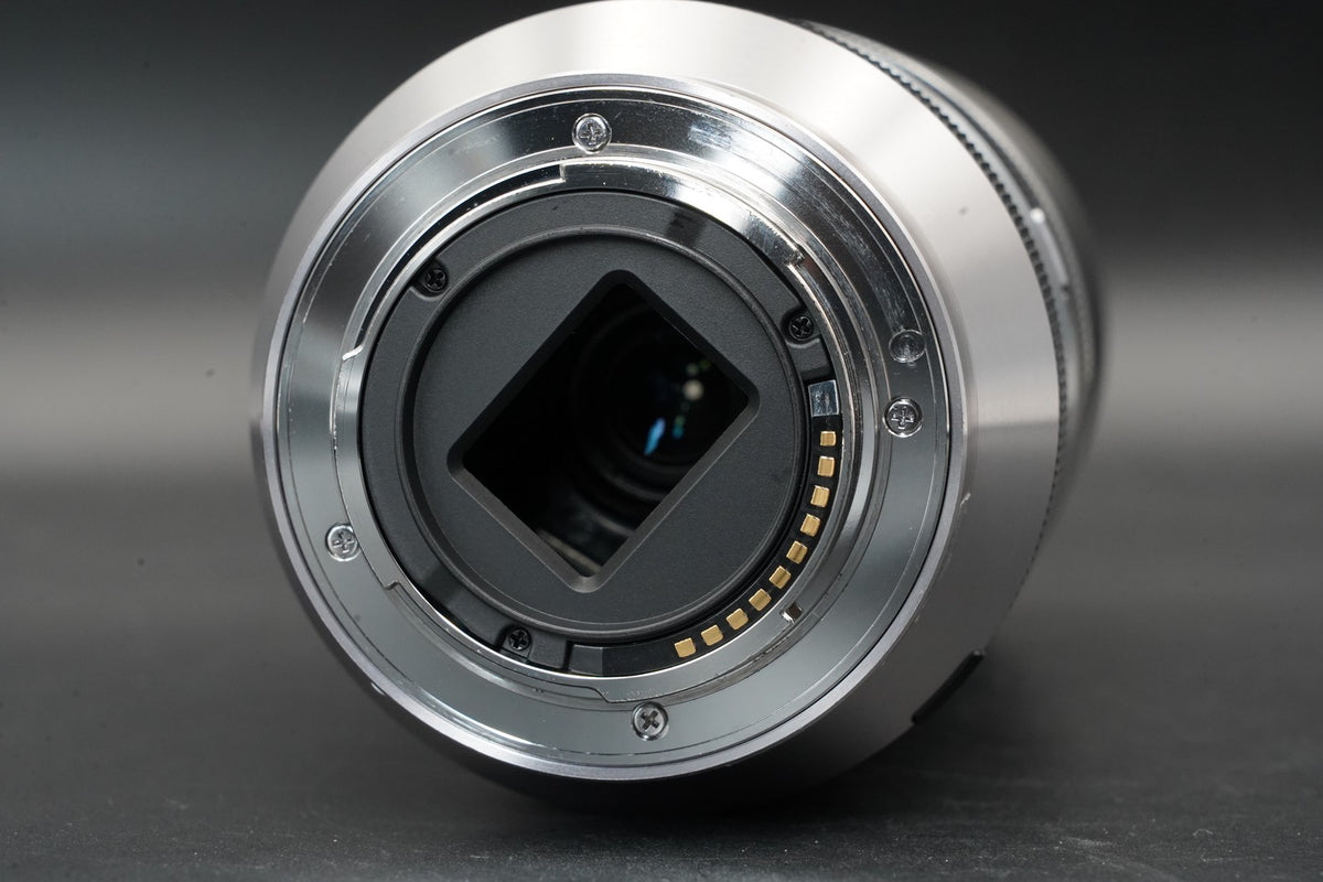 Sony E 18-200mm f/3.5-6.3 OSS Lens Silver SEL18200 #12162