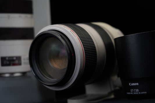 Canon EF 70-300mm f/4-5.6 L IS USM US STOCK #10190