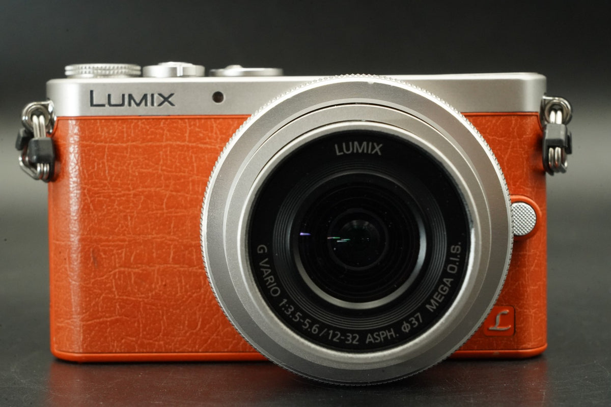 Panasonic LUMIX DMC-GM1 Digital Camera Orange English OK #11767