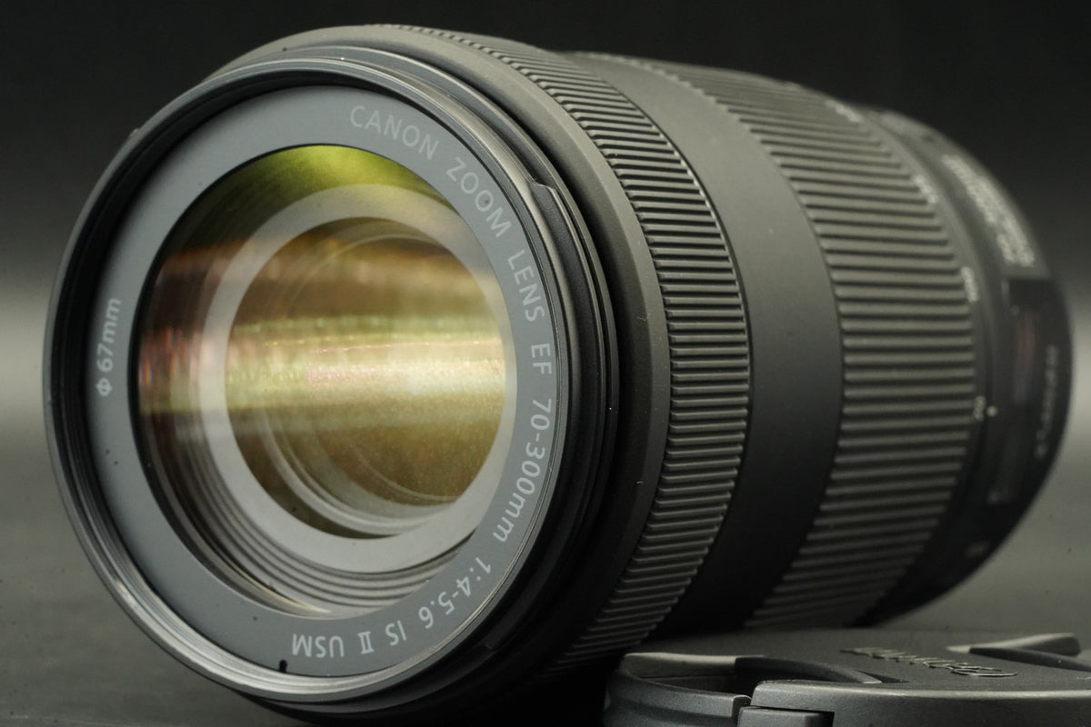 Canon EF 70-300mm f/4-5.6 IS II USM Zoom Lens #12384