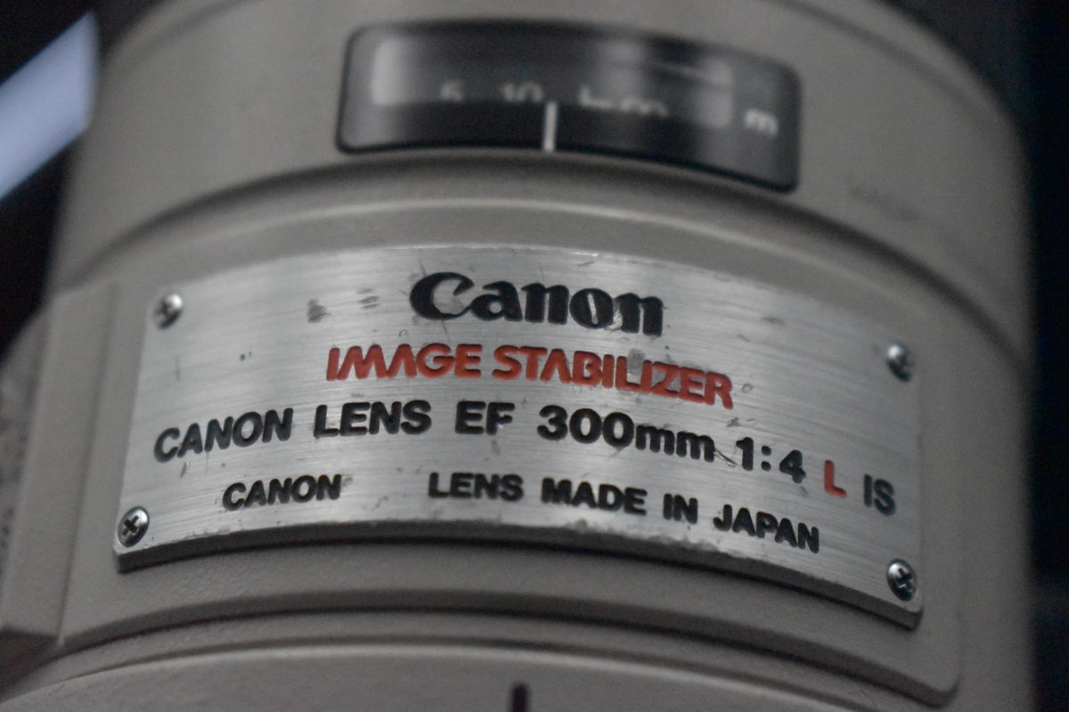 [US Duty Paid] Lente Canon EF 300mm f/4 L IS USM ULTRASONIC de EE. UU.🇺🇸...