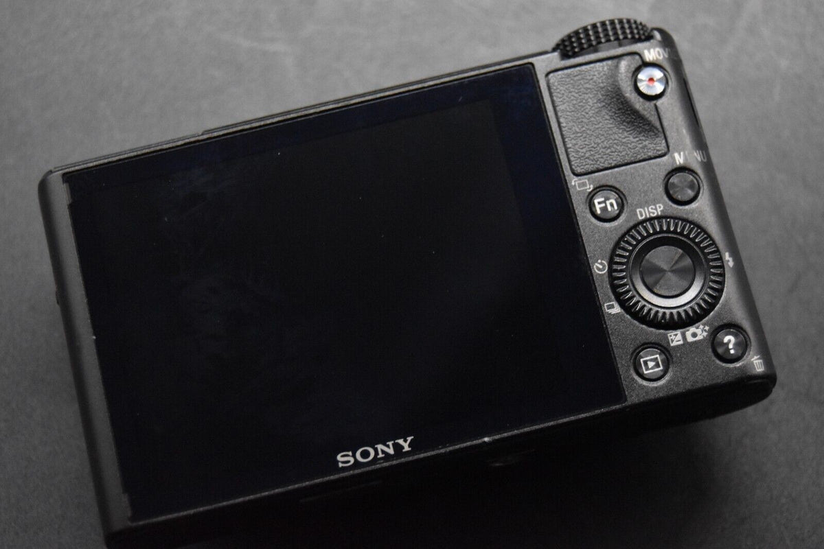 Sony Cyber-Shot DSC-RX100 35 Language Camera #11933-11934