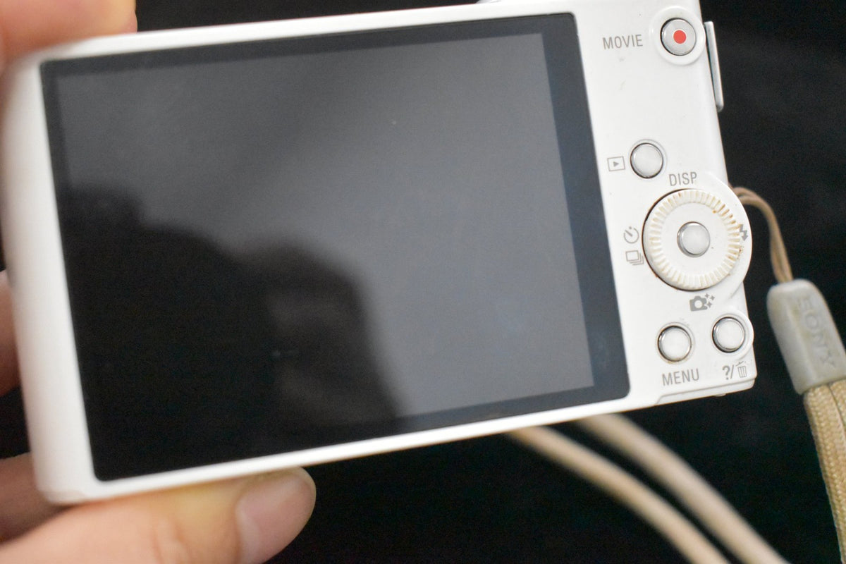 Sony Cyber-shot DSC-WX300 White Compact Digital Camera US STOCK #9795