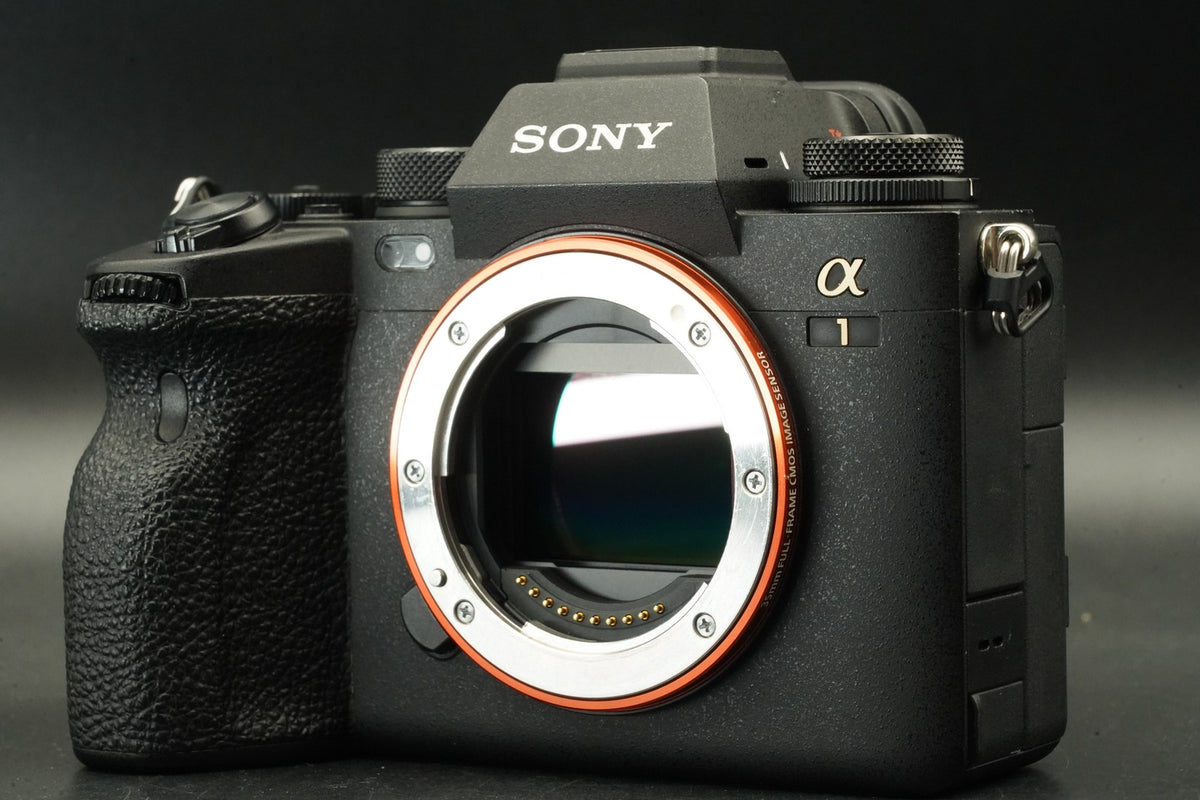 SONY a1 ILCE-1 Mirrorless Digital Camera [English OK] -6536 cuts- #12034