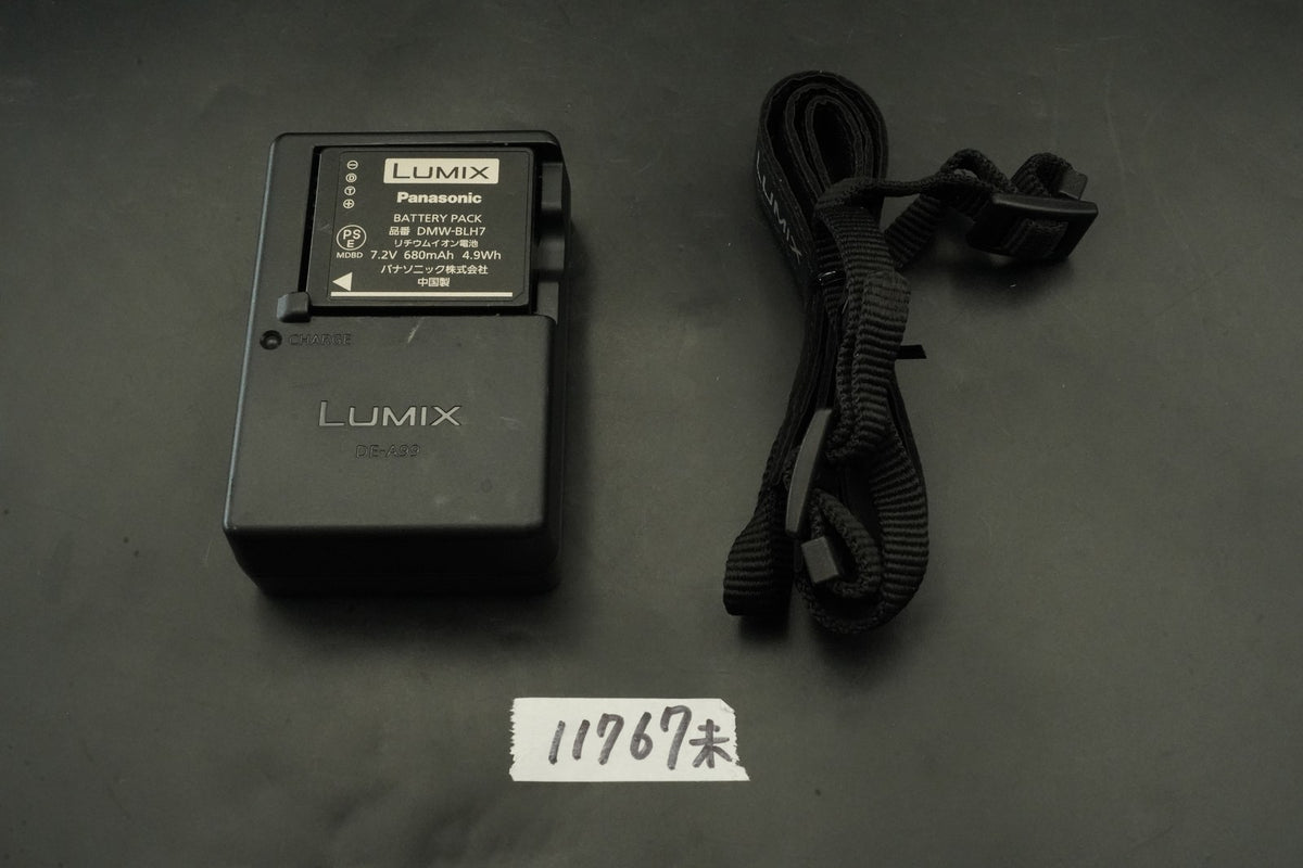 Panasonic LUMIX DMC-GM1 Digital Camera Orange English OK #11767