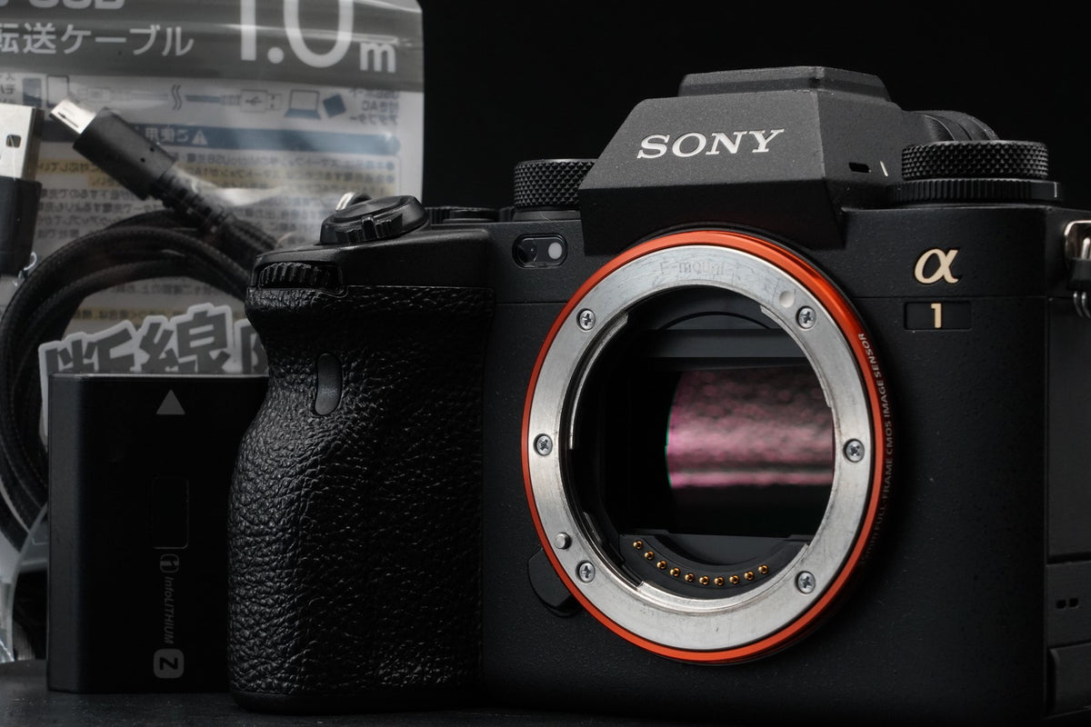 SONY a1 ILCE-1 Mirrorless Digital Camera [English OK] -5120 cuts- #11293