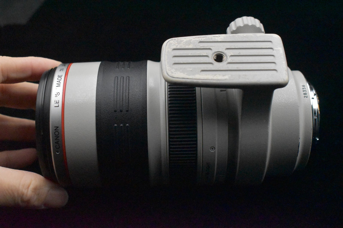 [US Duty Paid] Canon EF 35-350mm f/3.5-5.6 L USM Zoom Telephoto Lens 9107