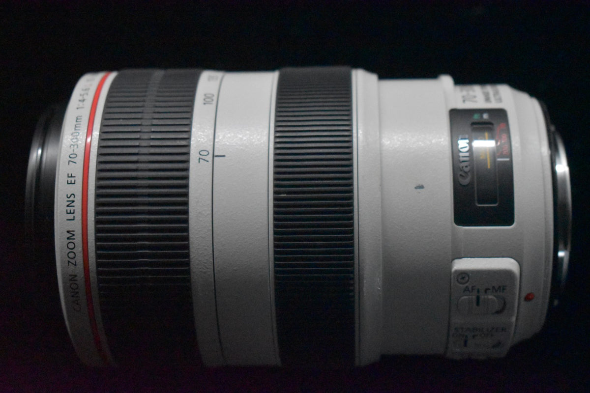 [US Duty Paid] Canon EF 70-300mm f/4-5.6 L IS USM From JAPAN #8097