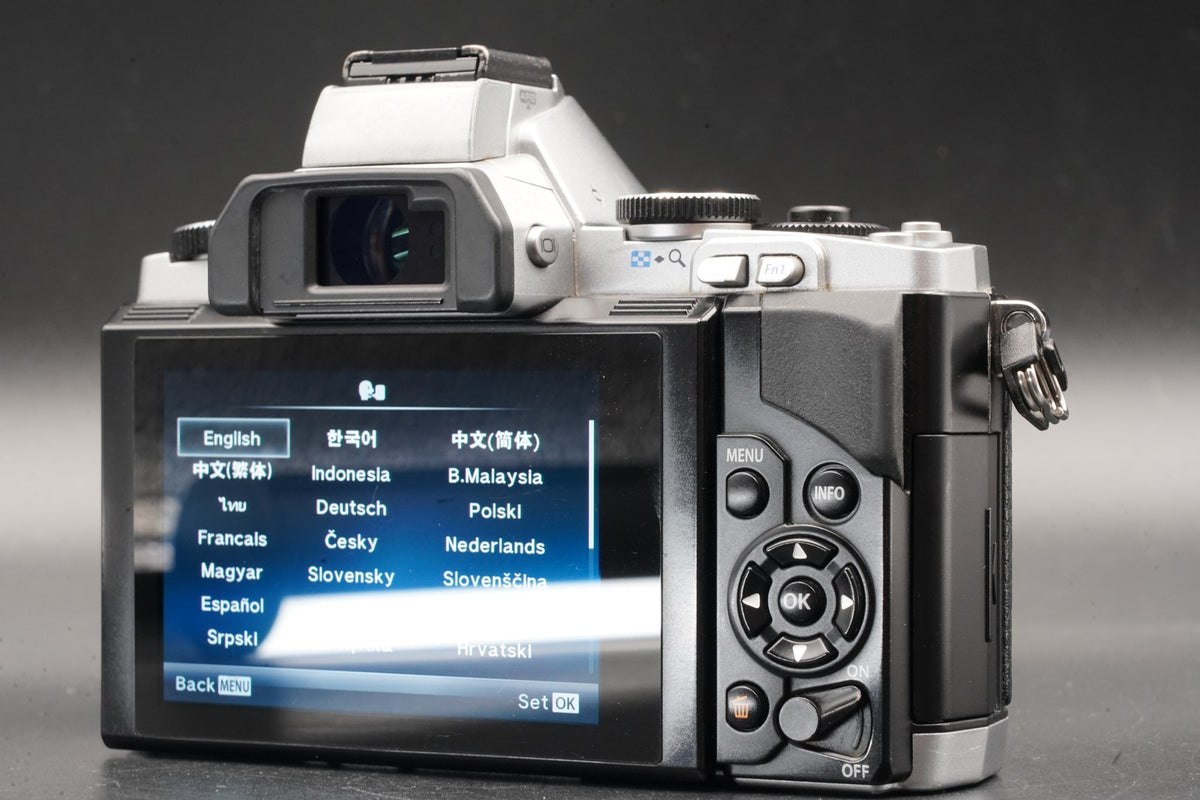 Olympus E-M5 Mirrorless Digital Camera w/ 2 Lenses Silver #11115