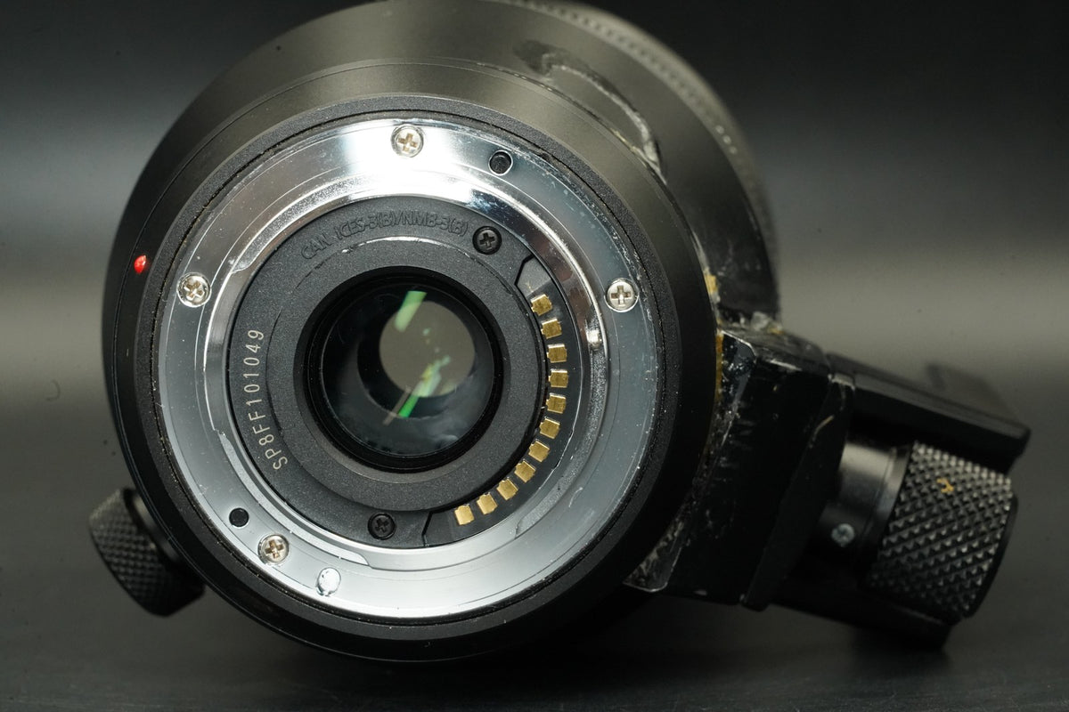 Panasonic Lumix 100-400mm F4-6.3 Leica DG Vario Elmar ASPH OIS H-RS100400 #12370