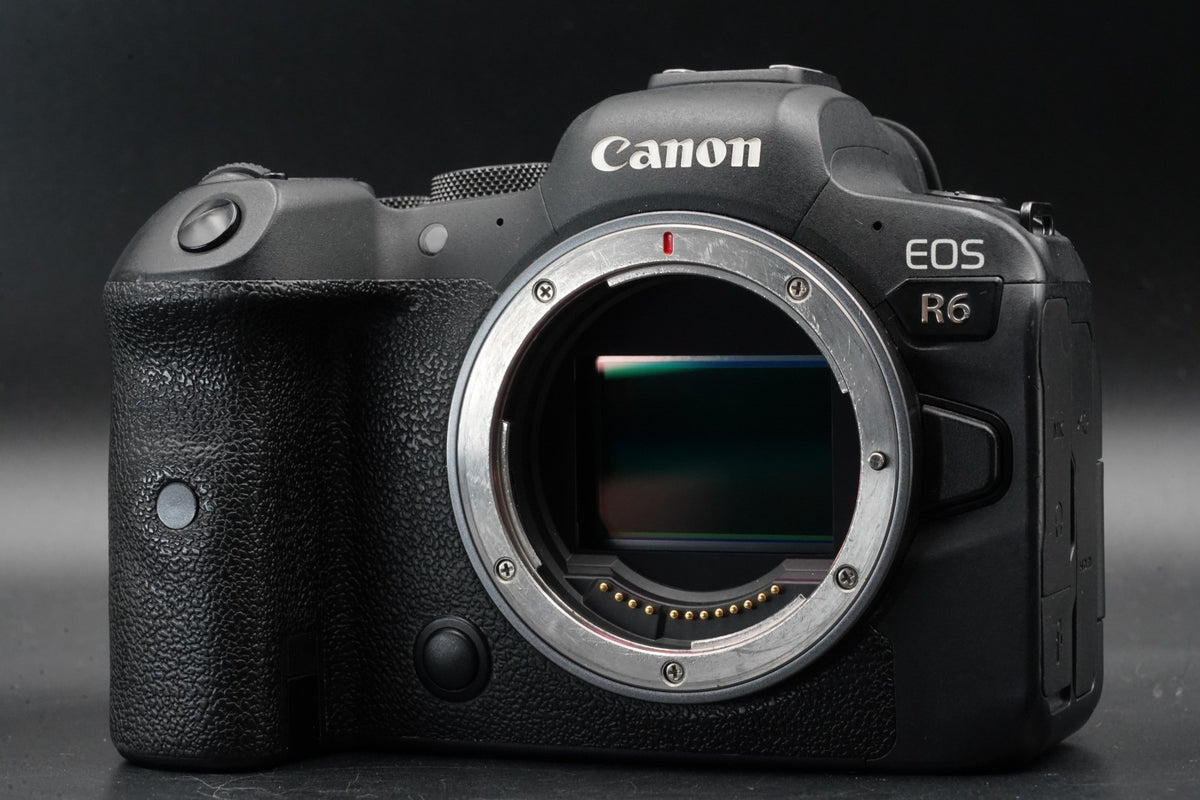 Canon EOS R6 20.1MP Mirrorless Camera -1200 cuts- US STOCK #11300