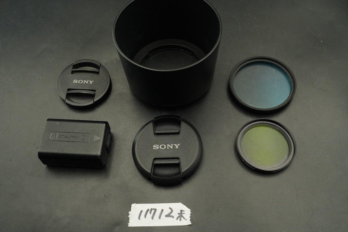 Sony a6000 Digital Mirrorless Camera Silver 2 Lenses! [] US STOCK #11712