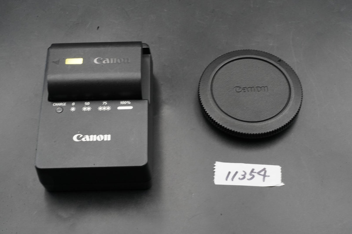 Canon EOS R6 20.1MP Mirrorless Camera -1200 cuts- #11354
