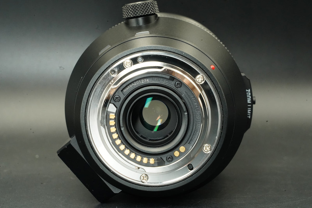 Panasonic LEICA DG VARIO-ELMAR 100-400mm F4-6.3II H-RSA100400 #12102