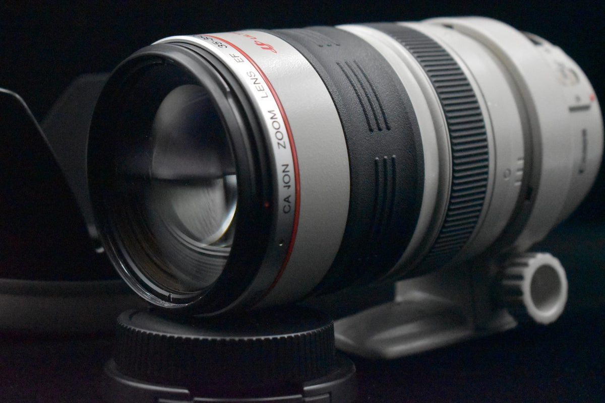 [US Duty Paid] Canon EF 35-350mm f/3.5-5.6 L USM Zoom Telephoto Lens 9107