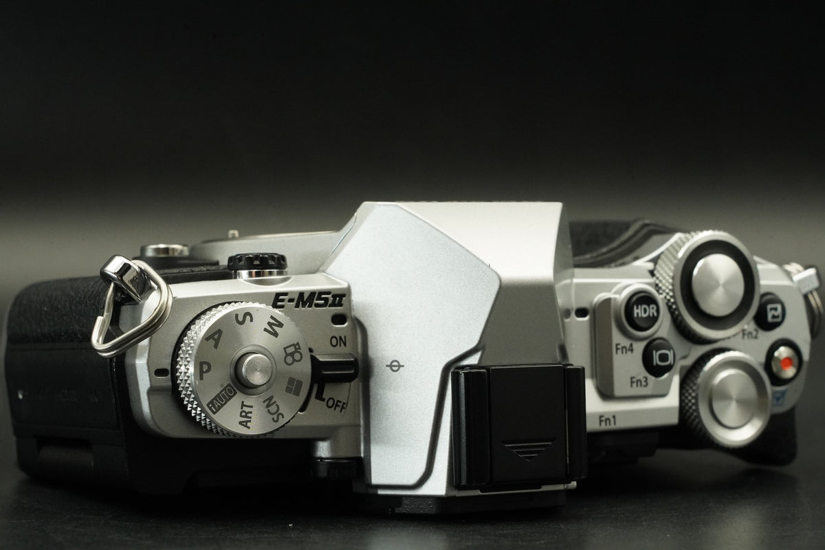 Olympus OM-D E-M5 Mark II 16.1MP Digital SLR Camera Silver -4315 cut- #12210