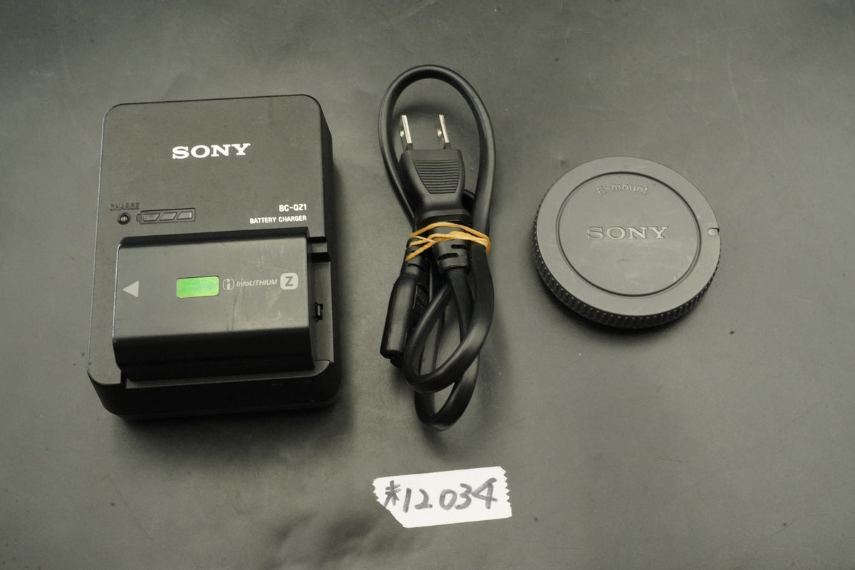 SONY a1 ILCE-1 Mirrorless Digital Camera [English OK] -6536 cuts- #12034
