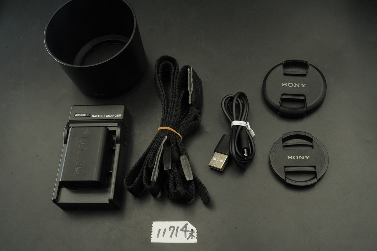 Sony Alpha a5100 Mirrorless Digital Camera White -1867 cuts- #11714